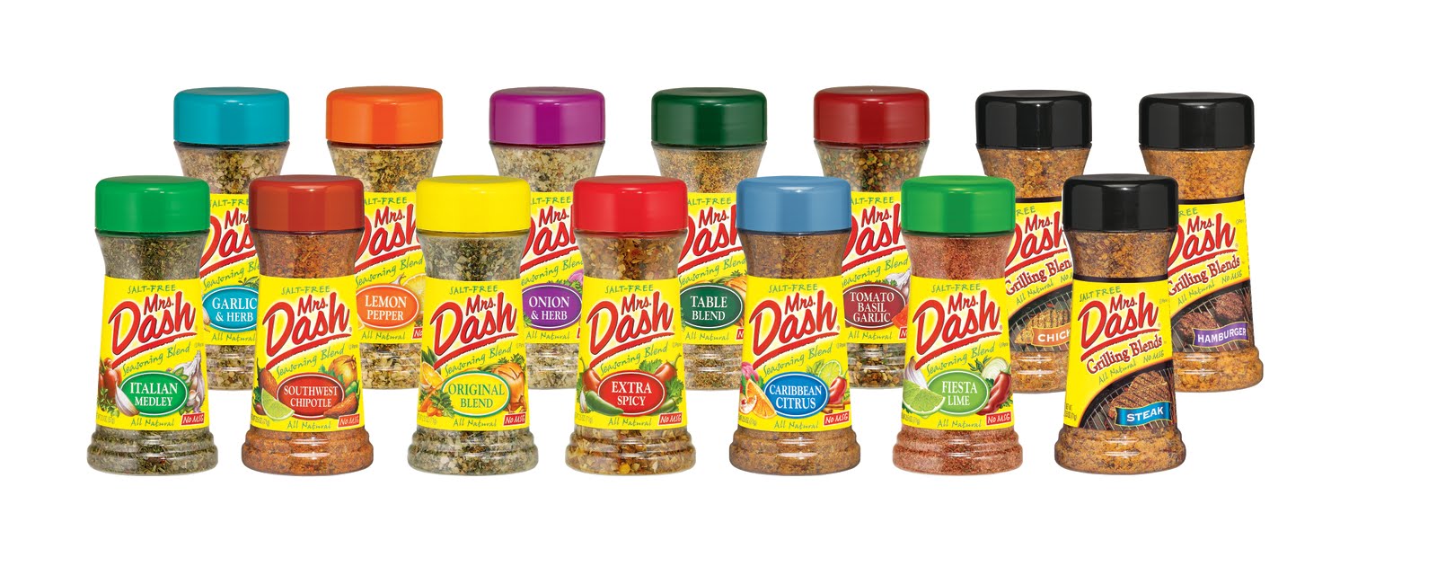 The DISH on Mrs. Dash! » The Daily Dish