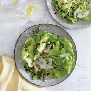 butter-lettuce-asparagus-hazelnut-salad-ck